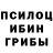 Галлюциногенные грибы мицелий Dani Nemame