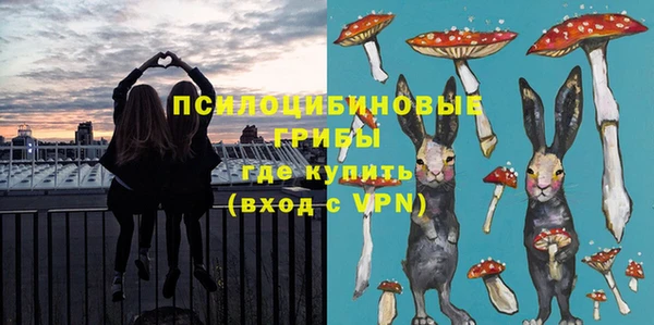 СК Абинск