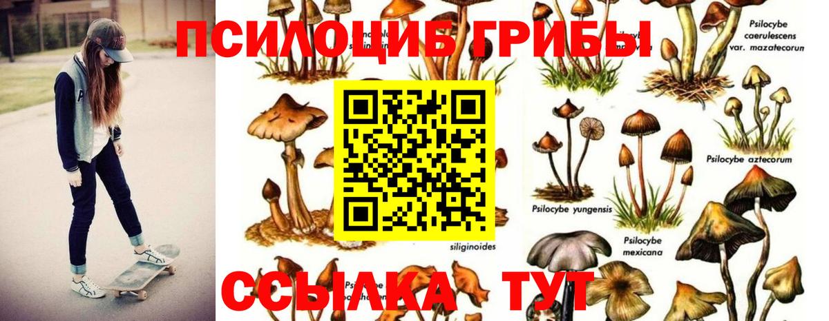 Галлюциногенные грибы Cubensis  Вход с VPN  цены   Якутск 